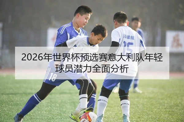 2026年世界杯预选赛意大利队年轻球员潜力全面分析