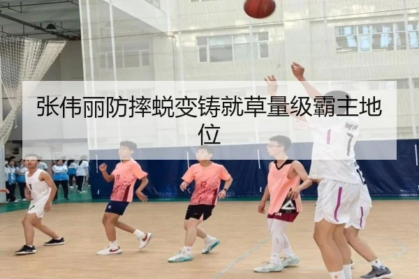 张伟丽防摔蜕变铸就草量级霸主地位